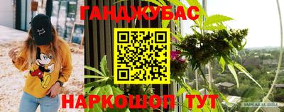крисы Дубна