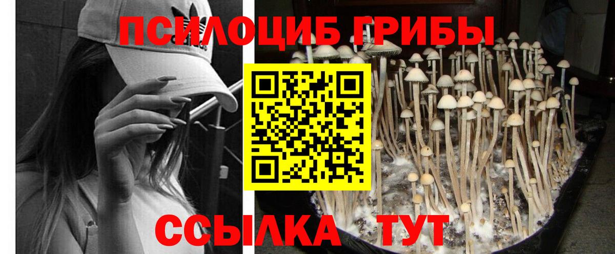 дарнет шоп  Вход с VPN  Галлюциногенные грибы мицелий  Мирный  Псилоцибиновые грибы Psilocybe 